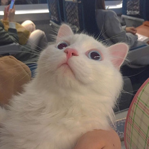 3d游戏嘿咻嘿咻在线观看
