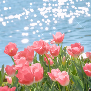 3d游戏嘿咻嘿咻在线观看
